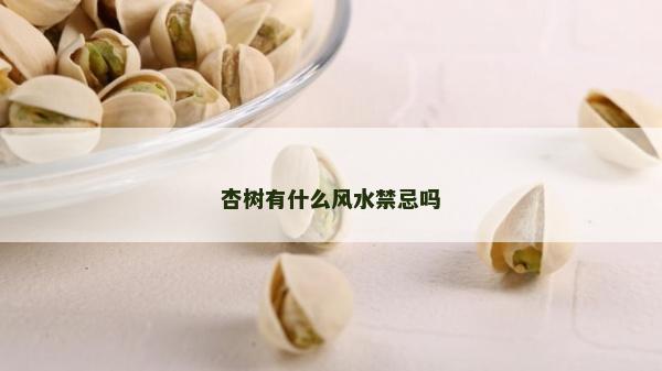 杏樹有什么風水禁忌嗎