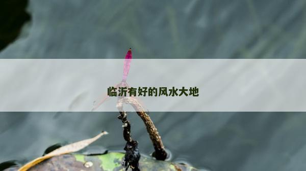 臨沂有好的風(fēng)水大地