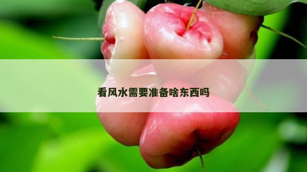 看風水需要準備啥東西嗎