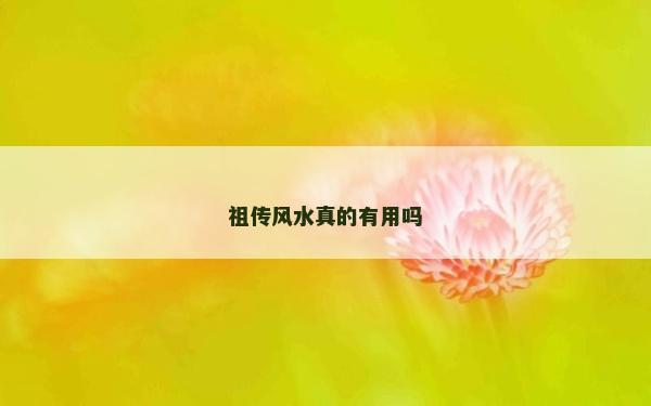 祖?zhèn)黠L(fēng)水真的有用嗎 祖?zhèn)黠L(fēng)水真的有用嗎