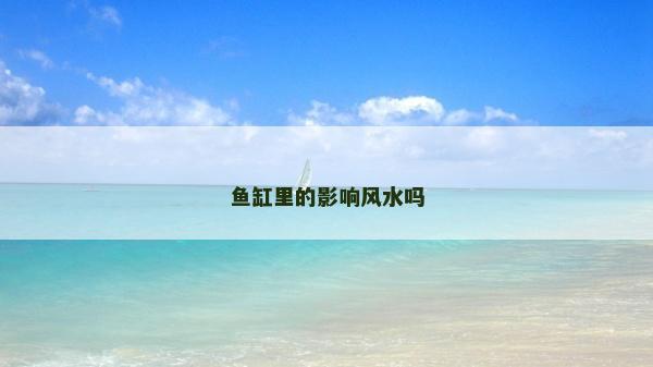 魚缸里的影響風(fēng)水嗎
