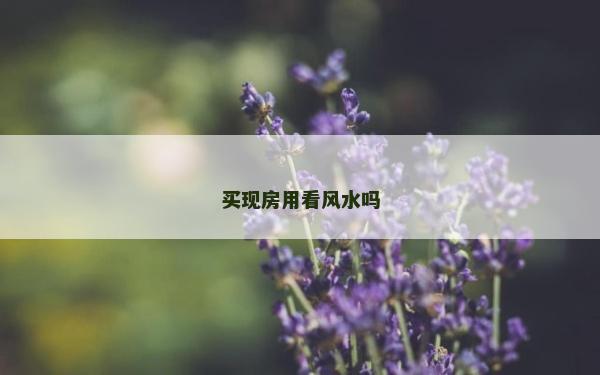 買現房用看風水嗎