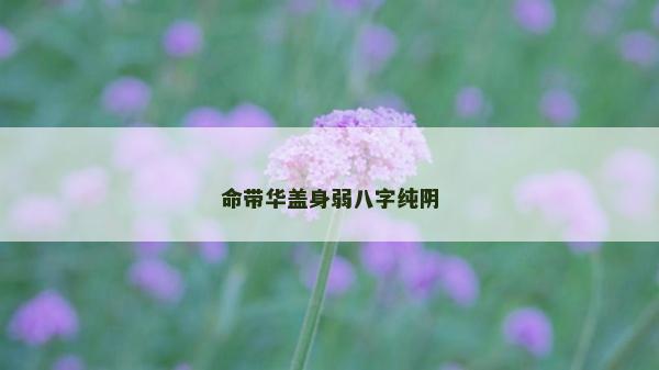 命帶華蓋身弱八字純陰