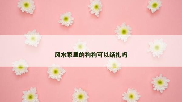 風(fēng)水家里的狗狗可以結(jié)扎嗎