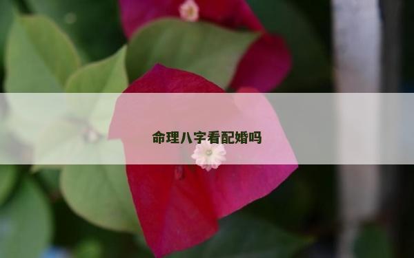 命理八字看配婚嗎 命理八字看配婚嗎
