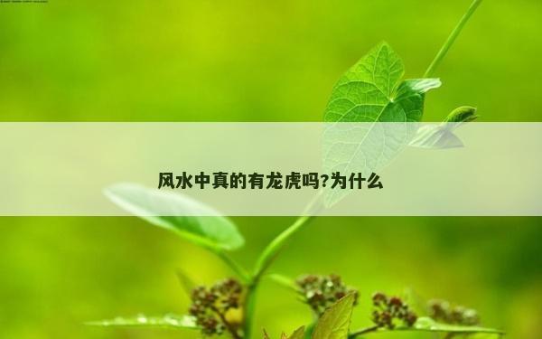風水中真的有龍虎嗎?為什么