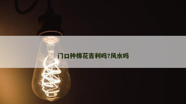 門口種棉花吉利嗎?風(fēng)水嗎