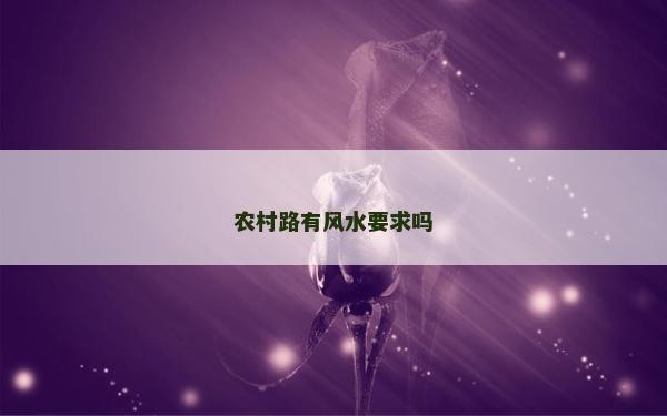 農村路有風水要求嗎