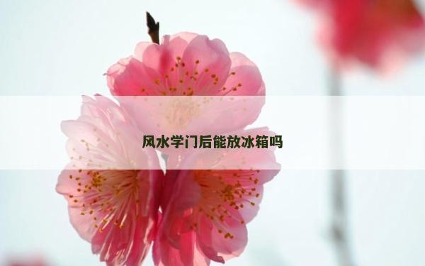 風水學門后能放冰箱嗎