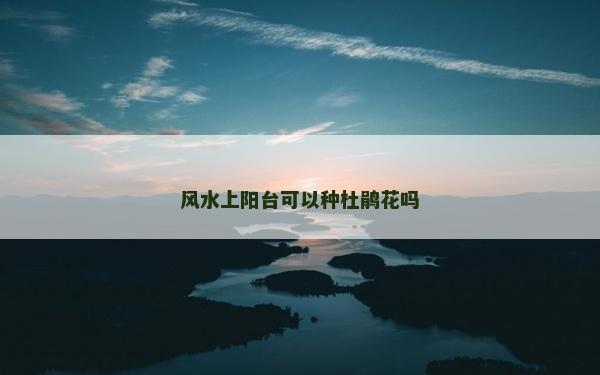 風(fēng)水上陽臺可以種杜鵑花嗎