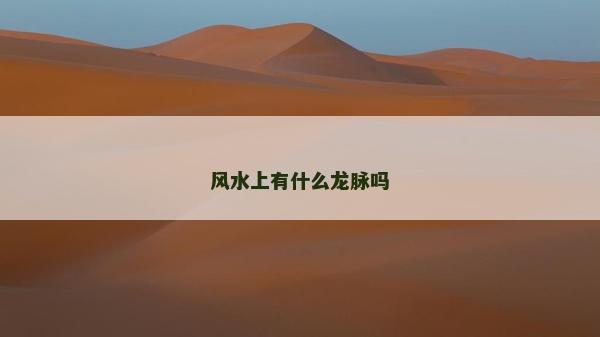 風(fēng)水上有什么龍脈嗎 風(fēng)水上有什么龍脈嗎