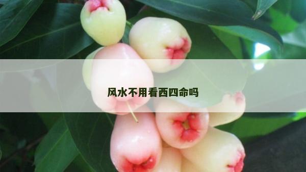 風(fēng)水不用看西四命嗎