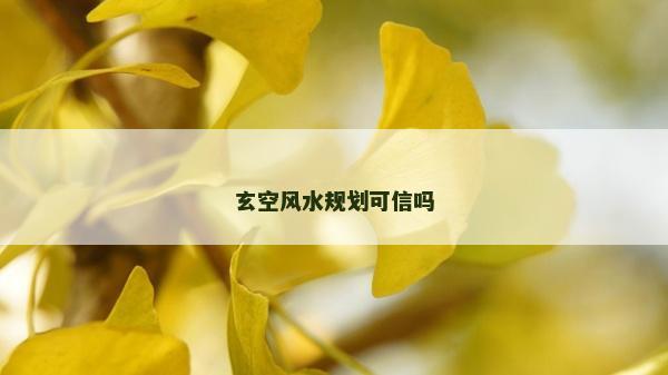 玄空風水規(guī)劃可信嗎