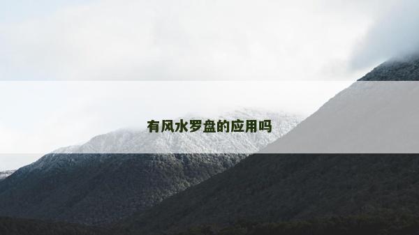 有風水羅盤的應用嗎
