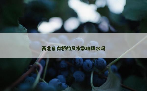 西北角有橋的風水影響風水嗎 西北角有橋的風水影響風水嗎