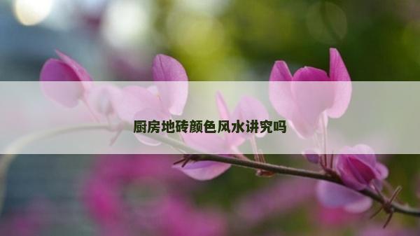 廚房地磚顏色風水講究嗎