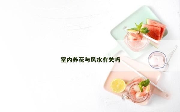 室內養花與風水有關嗎