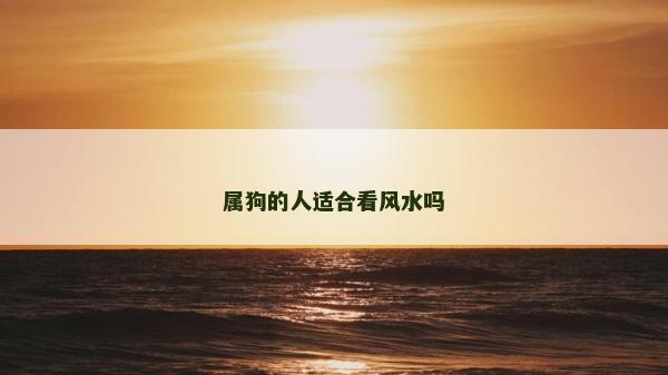 屬狗的人適合看風水嗎