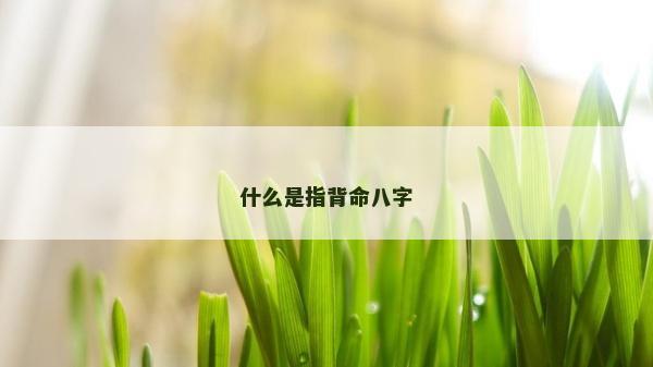 什么是指背命八字