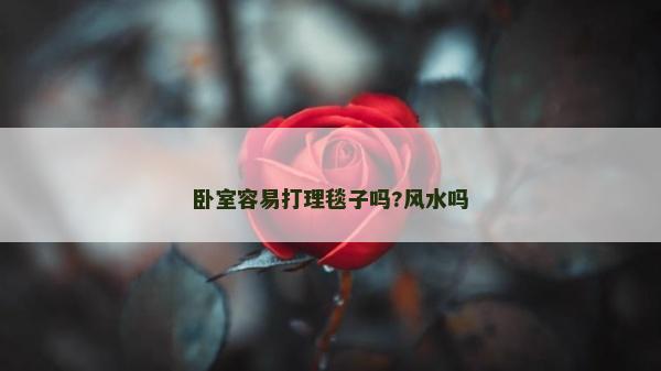 臥室容易打理毯子嗎?風水嗎