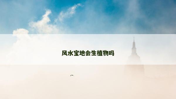 風(fēng)水寶地會(huì)生植物嗎