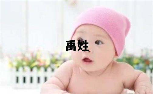 禹姓有創(chuàng)意的女孩名字