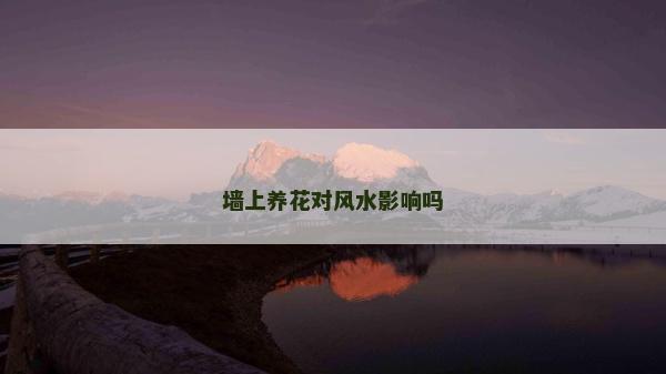 墻上養花對風水影響嗎