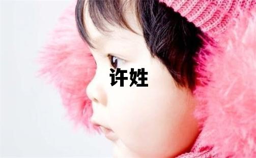 許姓有涵養的男孩名字
