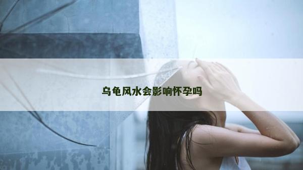 烏龜風水會影響懷孕嗎