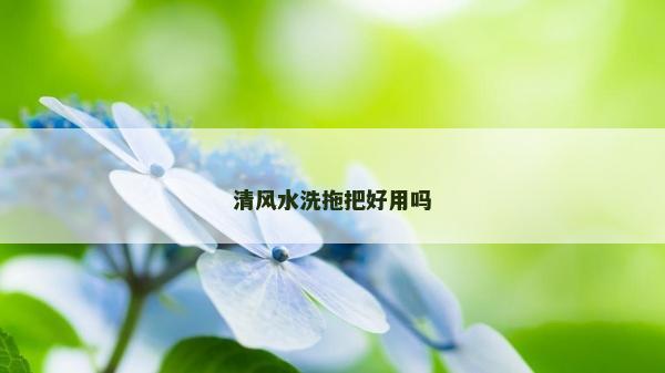 清風(fēng)水洗拖把好用嗎