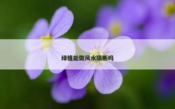 綠植能做風水隔斷嗎
