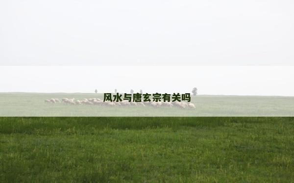 風(fēng)水與唐玄宗有關(guān)嗎
