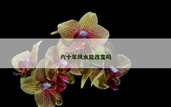 六十年風水能改變嗎