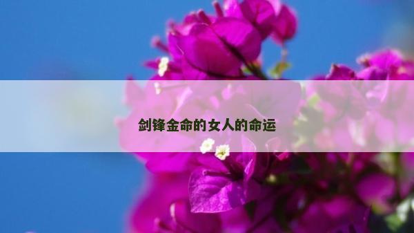 劍鋒金命的女人的命運 劍鋒金命的女人的命運