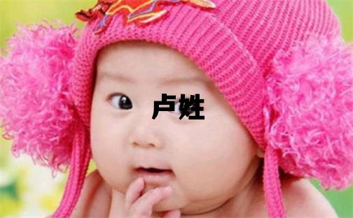 盧姓大氣文雅的男孩名字
