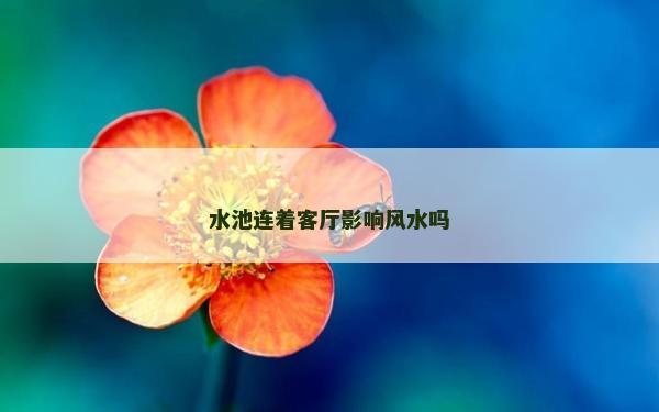 水池連著客廳影響風(fēng)水嗎