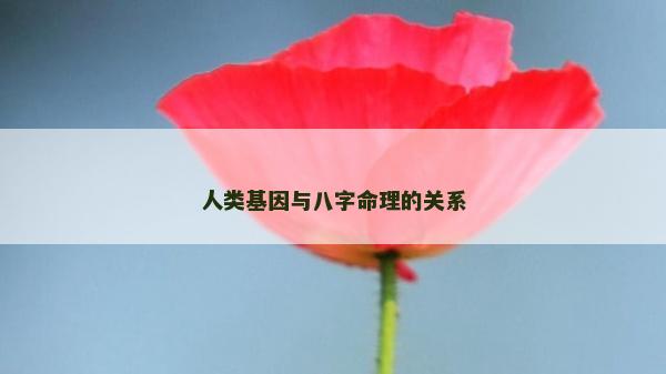 人類基因與八字命理的關(guān)系