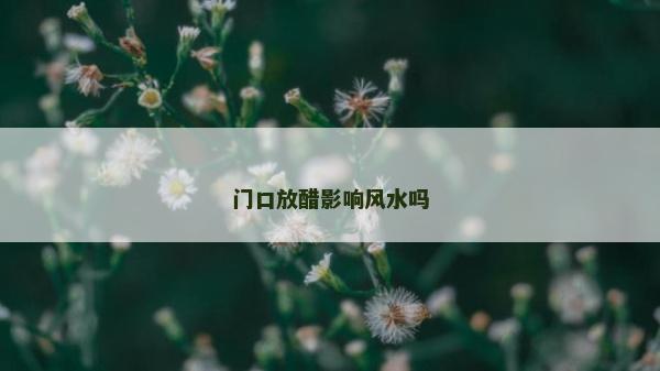 門口放醋影響風水嗎