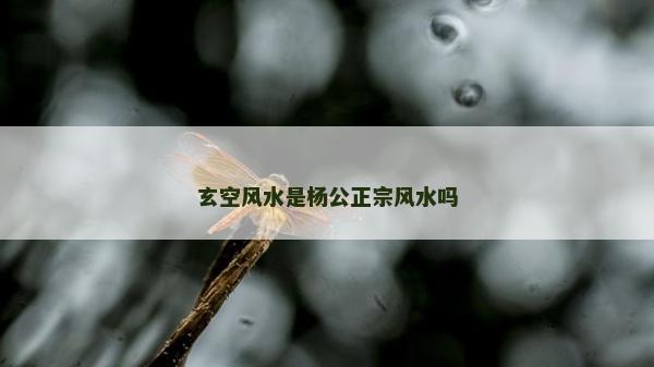 玄空風水是楊公正宗風水嗎