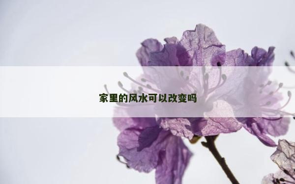 家里的風水可以改變嗎