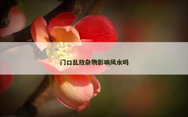 門口亂放雜物影響風(fēng)水嗎