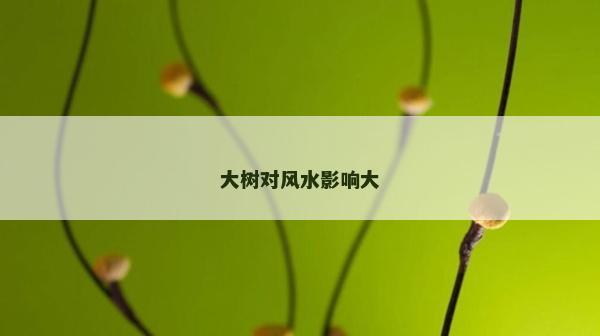 大樹對風水影響大