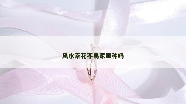 風水茶花不易家里種嗎 風水茶花不易家里種嗎