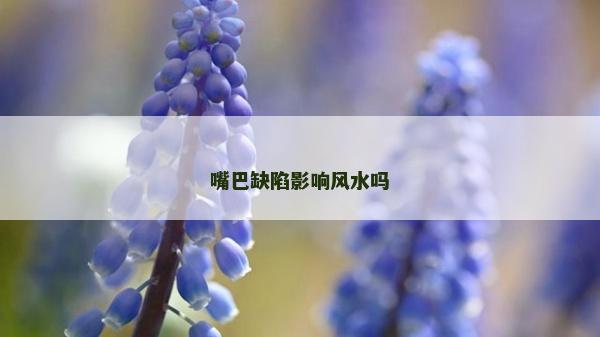 嘴巴缺陷影響風(fēng)水嗎