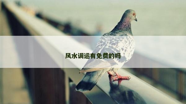 風水調運有免費的嗎 風水調運有免費的嗎