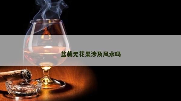 盆栽無花果涉及風水嗎
