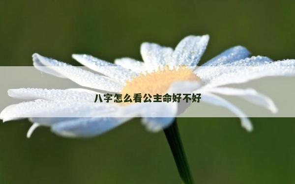 八字怎么看公主命好不好