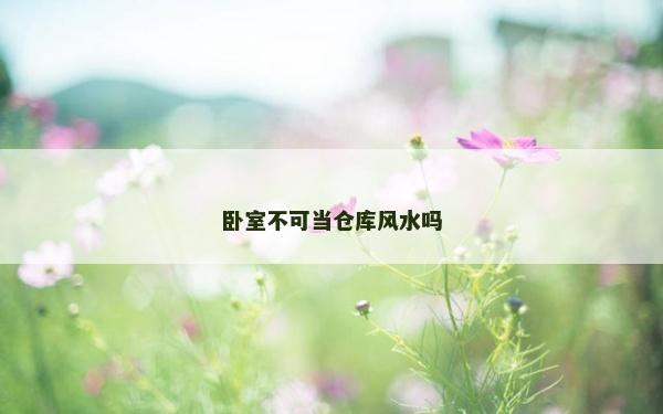 臥室不可當(dāng)倉庫風(fēng)水嗎