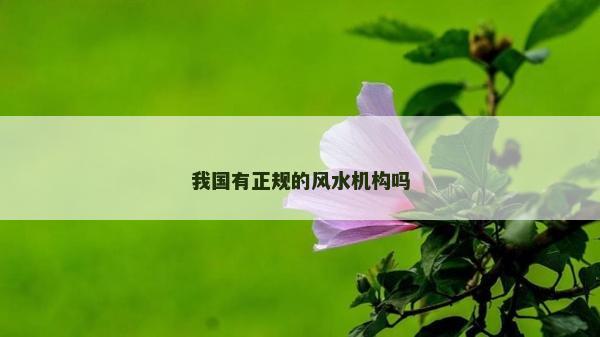 我國有正規的風水機構嗎 我國有正規的風水機構嗎