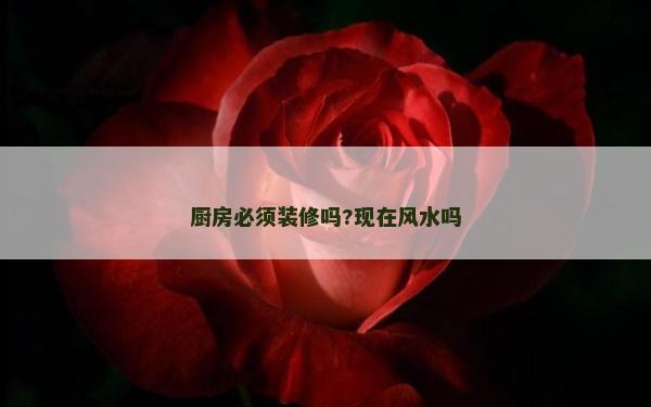 廚房必須裝修嗎?現在風水嗎